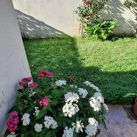 Casa Nonna Elvia Elvia's Grandma * Dolianova