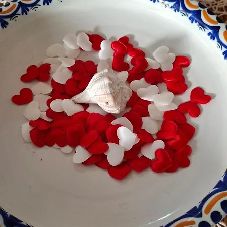 Casa Nonna Elvia Elvia's Grandma