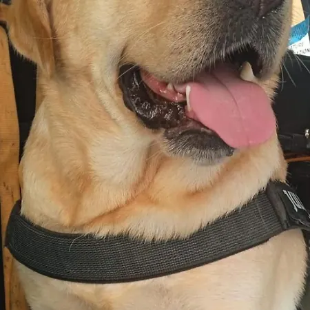 Casa Nonna Elvia Elvia's Grandma *